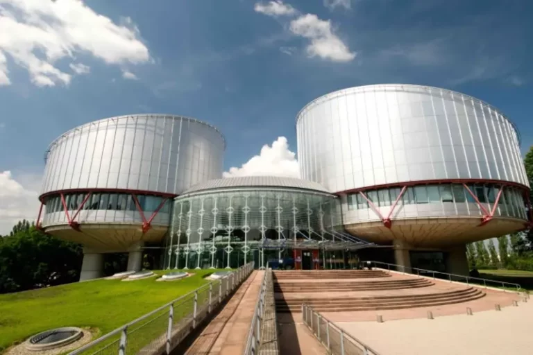 Македонска парламентарна делегација во Европскиот парламент во Стразбур.